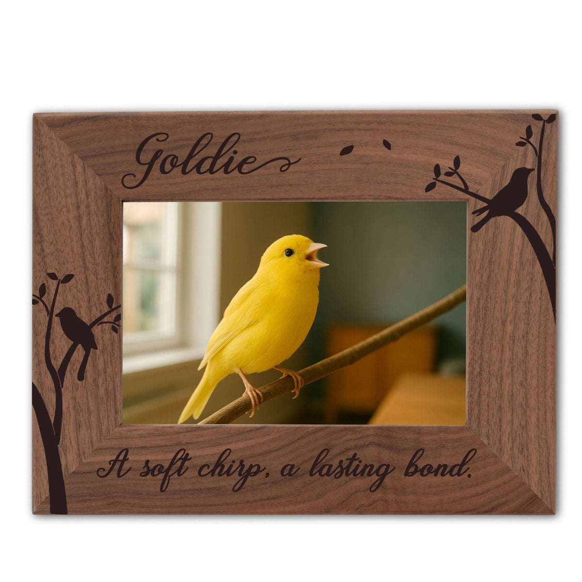 Personalized Bird Picture Frame, Genuine Walnut Bird Photo Frame 4x6, Bird Picture Wall Decor, Bird Memorial Gift, Bird Loss Gifts - Apparel & Accessories - Aylev