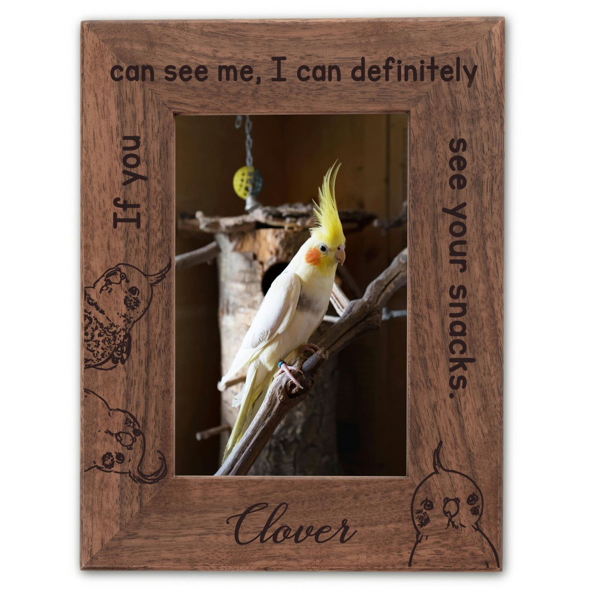 Personalized Bird Picture Frame, Genuine Walnut Bird Photo Frame 4x6, Bird Picture Wall Decor, Bird Memorial Gift, Bird Loss Gifts - Apparel & Accessories - Aylev