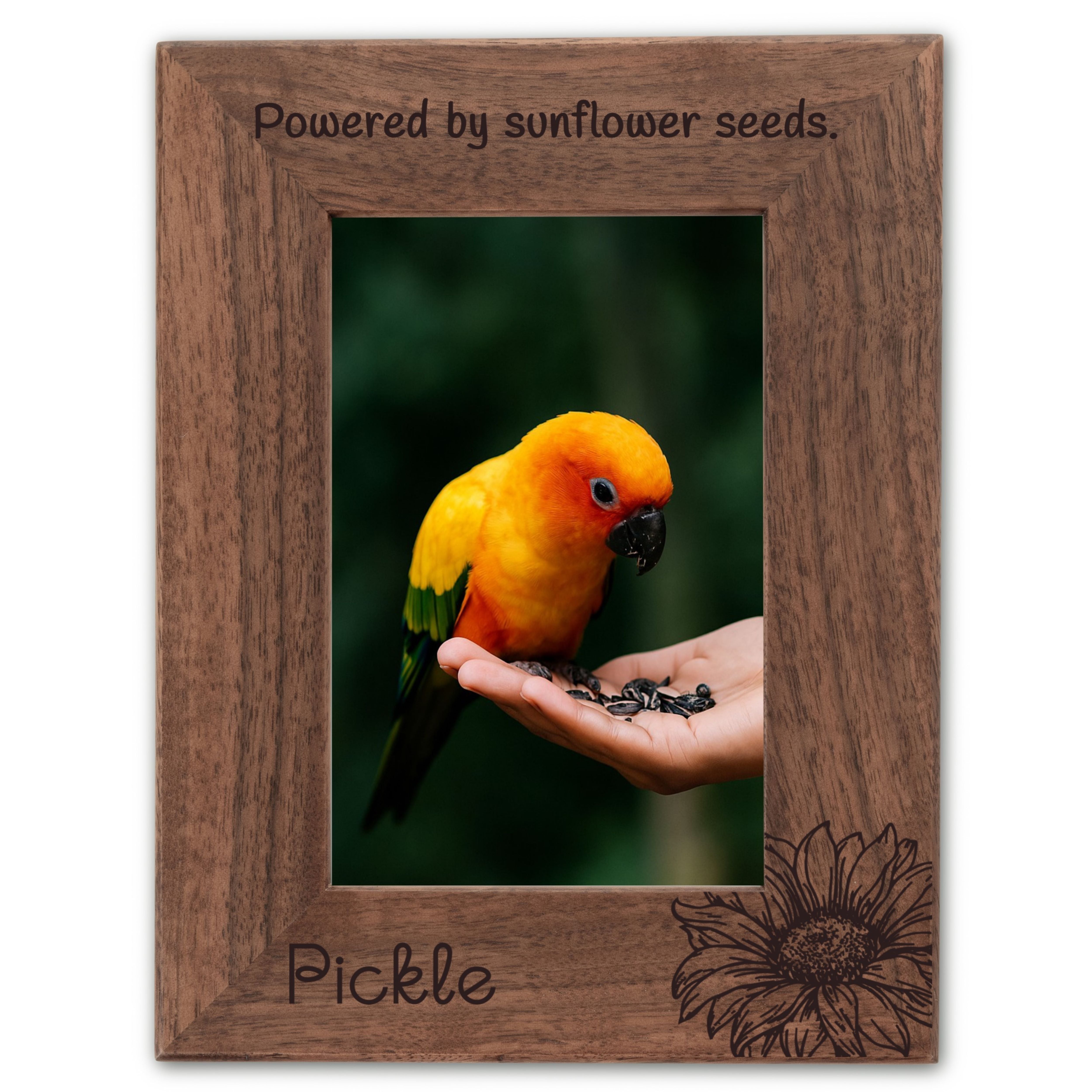 Personalized Bird Picture Frame, Genuine Walnut Bird Photo Frame 4x6, Bird Picture Wall Decor, Bird Memorial Gift, Bird Loss Gifts