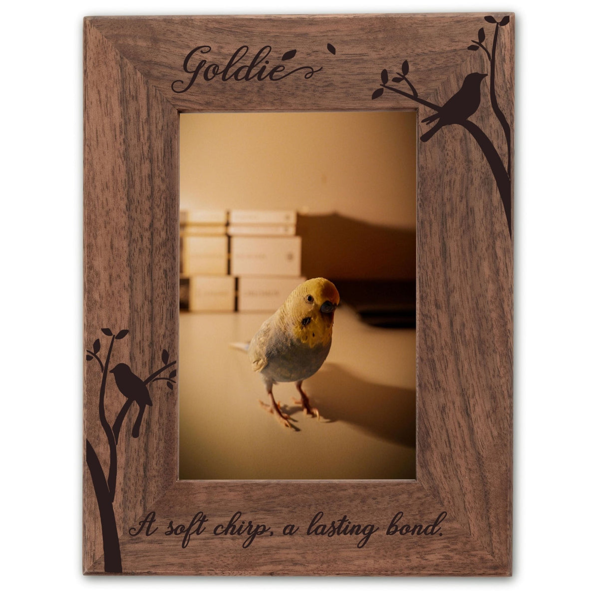 Personalized Bird Picture Frame, Genuine Walnut Bird Photo Frame 4x6, Bird Picture Wall Decor, Bird Memorial Gift, Bird Loss Gifts - Apparel & Accessories - Aylev