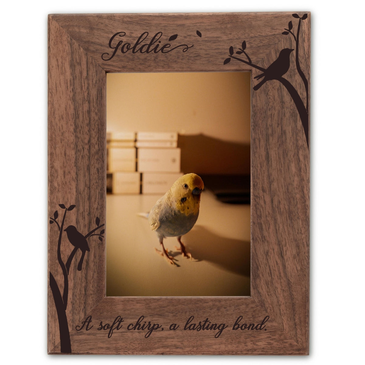 Personalized Bird Picture Frame, Genuine Walnut Bird Photo Frame 4x6, Bird Picture Wall Decor, Bird Memorial Gift, Bird Loss Gifts - Apparel & Accessories - Aylev