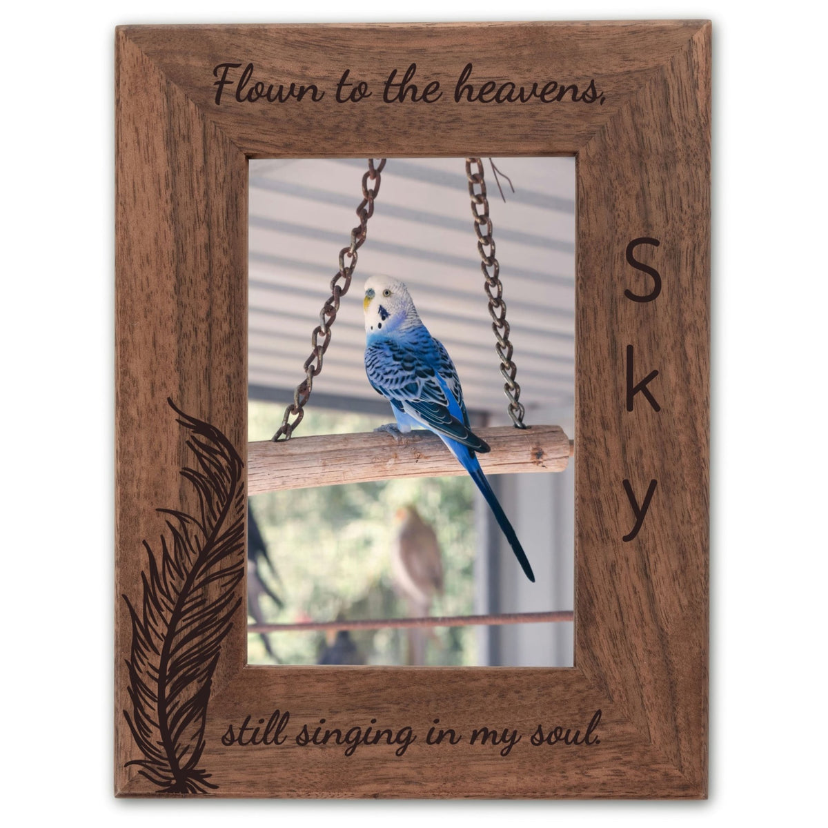 Personalized Bird Picture Frame, Genuine Walnut Bird Photo Frame 4x6, Bird Picture Wall Decor, Bird Memorial Gift, Bird Loss Gifts - Apparel & Accessories - Aylev