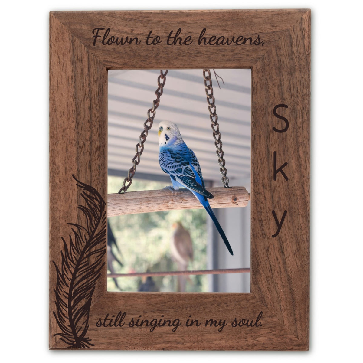 Personalized Bird Picture Frame, Genuine Walnut Bird Photo Frame 4x6, Bird Picture Wall Decor, Bird Memorial Gift, Bird Loss Gifts - Apparel & Accessories - Aylev