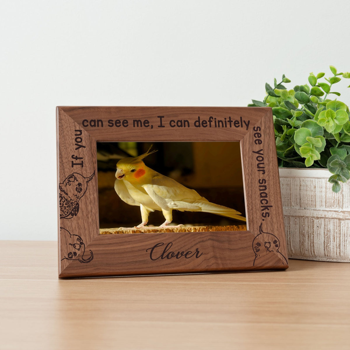 Personalized Bird Picture Frame, Genuine Walnut Bird Photo Frame 4x6, Bird Picture Wall Decor, Bird Memorial Gift, Bird Loss Gifts - Apparel & Accessories - Aylev