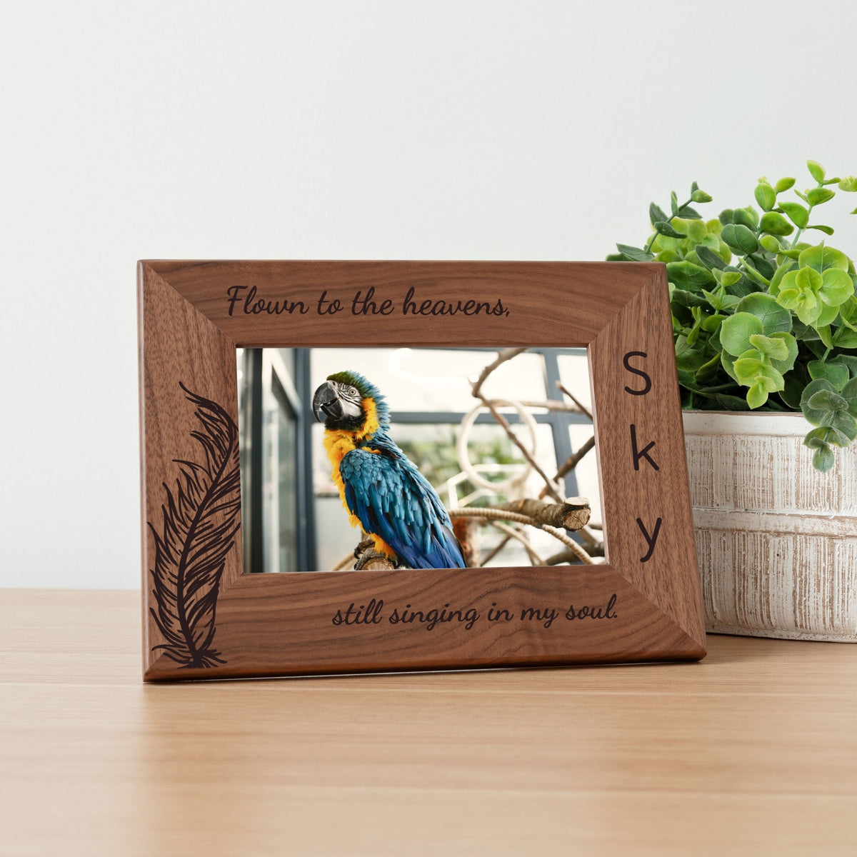 Personalized Bird Picture Frame, Genuine Walnut Bird Photo Frame 4x6, Bird Picture Wall Decor, Bird Memorial Gift, Bird Loss Gifts - Apparel & Accessories - Aylev