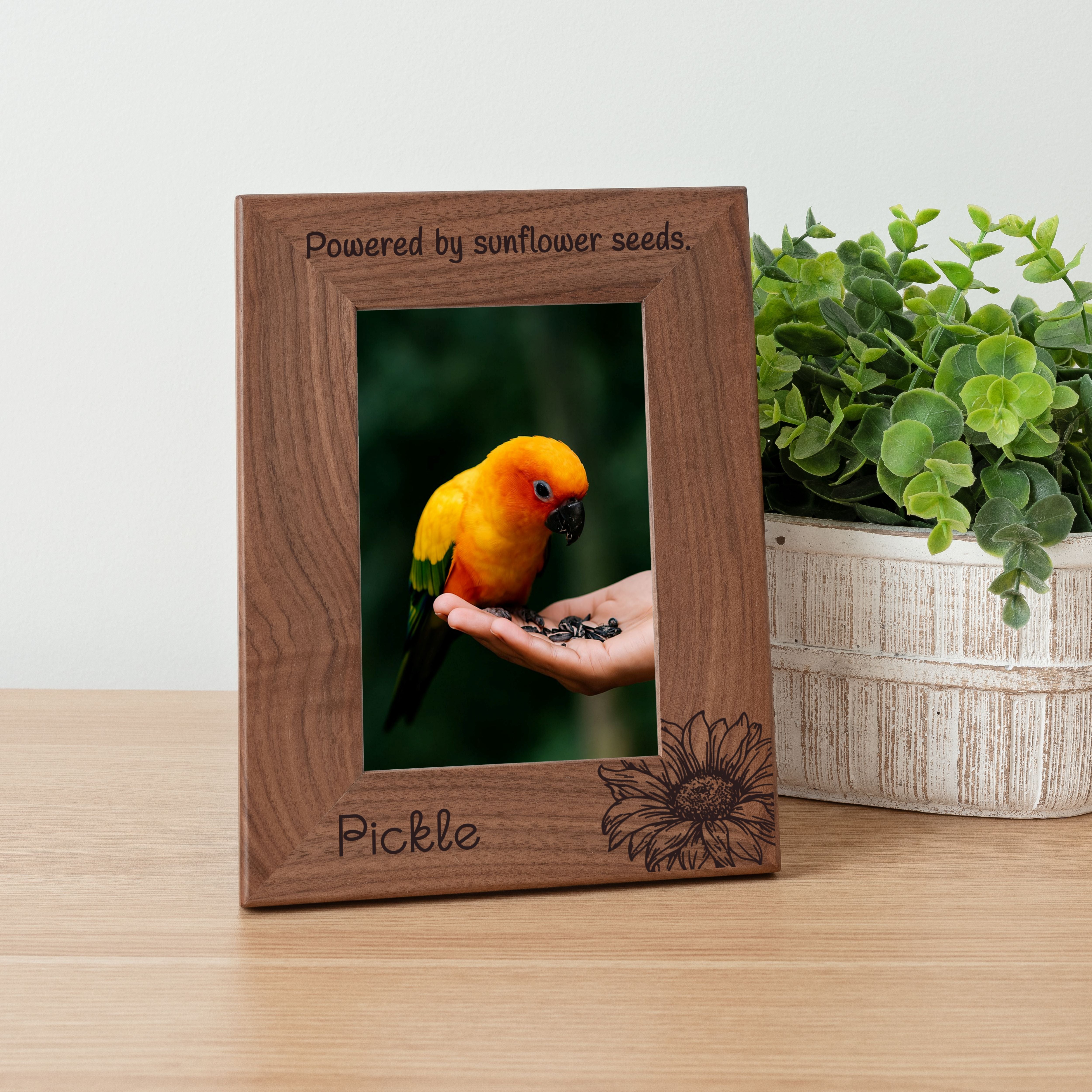Personalized Bird Picture Frame, Genuine Walnut Bird Photo Frame 4x6, Bird Picture Wall Decor, Bird Memorial Gift, Bird Loss Gifts