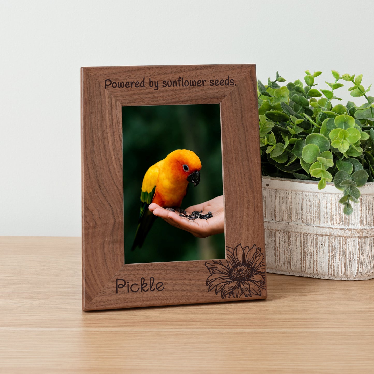 Personalized Bird Picture Frame, Genuine Walnut Bird Photo Frame 4x6, Bird Picture Wall Decor, Bird Memorial Gift, Bird Loss Gifts