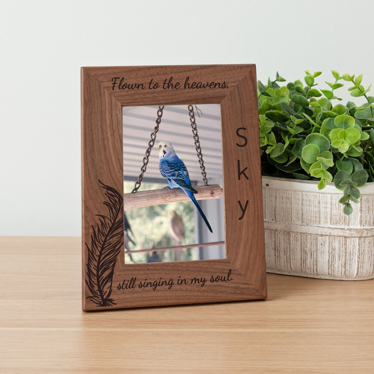 Personalized Bird Picture Frame, Genuine Walnut Bird Photo Frame 4x6, Bird Picture Wall Decor, Bird Memorial Gift, Bird Loss Gifts - Apparel & Accessories - Aylev