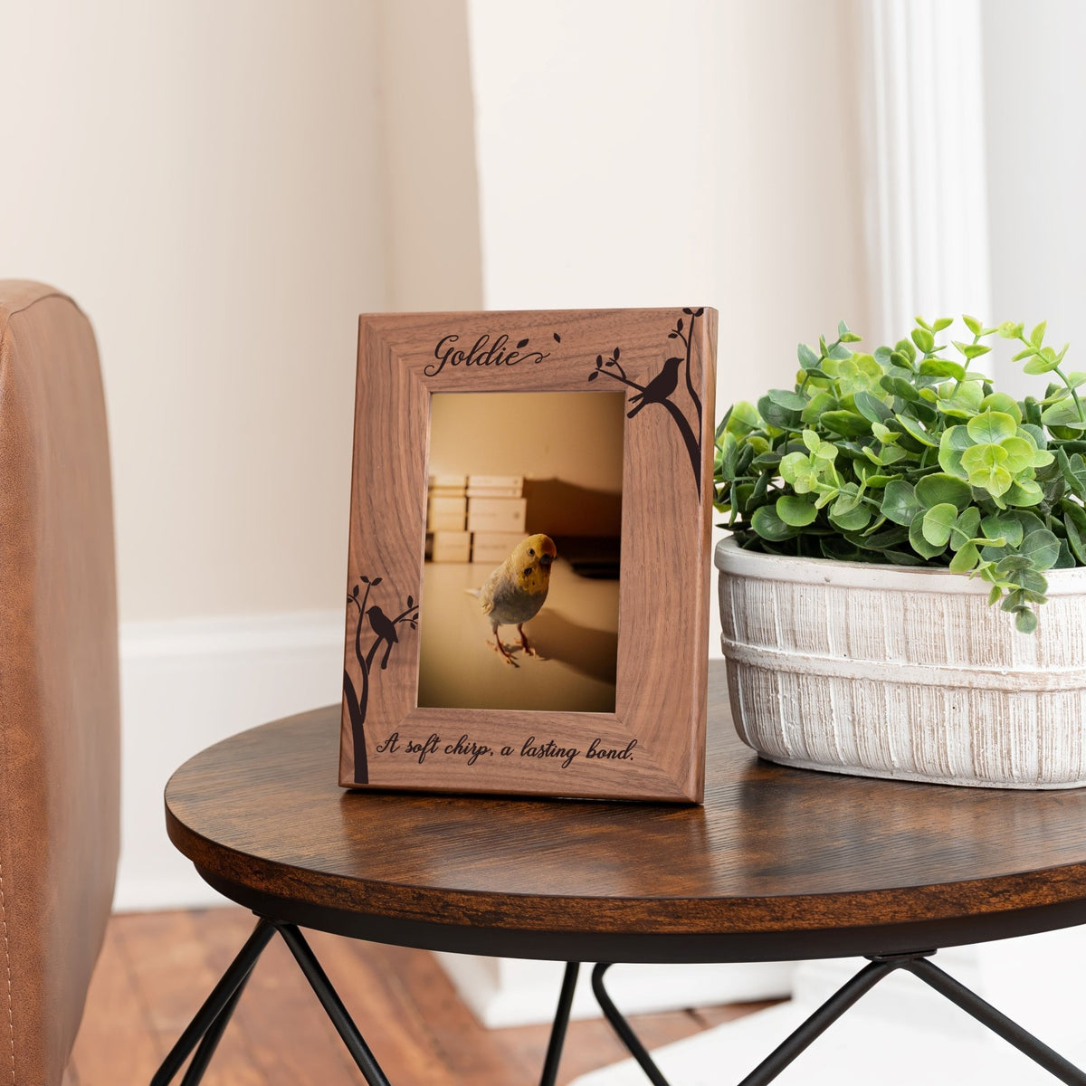 Personalized Bird Picture Frame, Genuine Walnut Bird Photo Frame 4x6, Bird Picture Wall Decor, Bird Memorial Gift, Bird Loss Gifts - Apparel & Accessories - Aylev