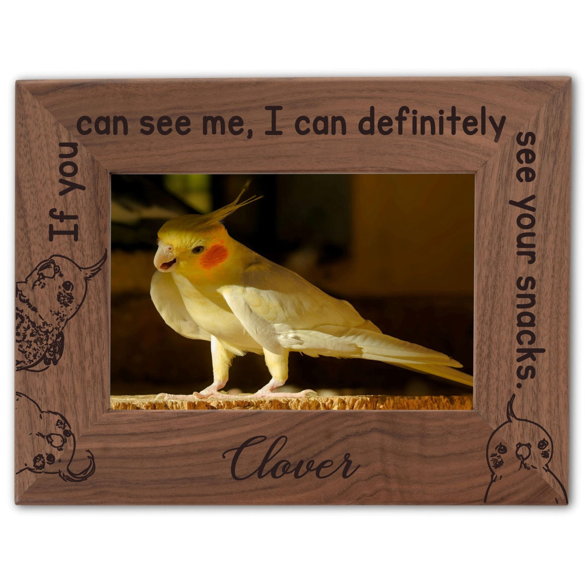 Personalized Bird Picture Frame, Genuine Walnut Bird Photo Frame 4x6, Bird Picture Wall Decor, Bird Memorial Gift, Bird Loss Gifts - Apparel & Accessories - Aylev