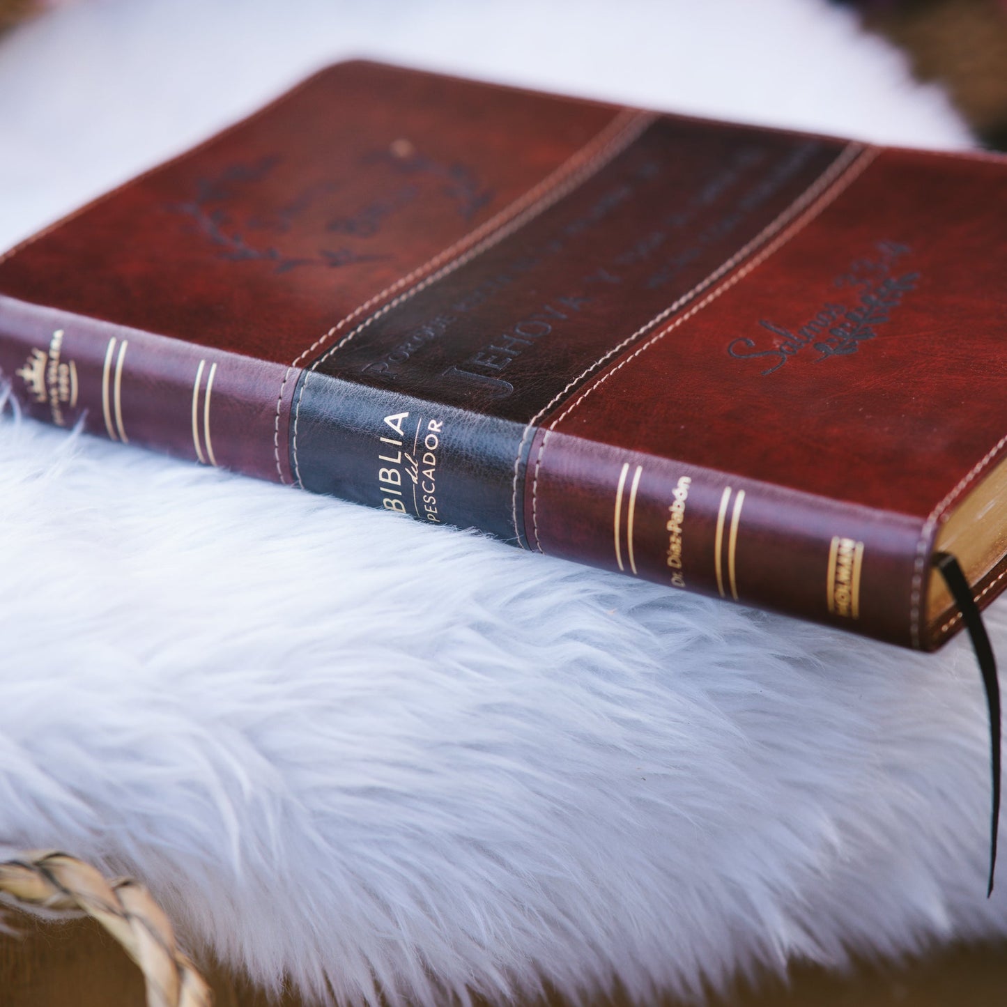 Biblia en Español Personalizada | Personalized Spanish RVR 1960 Bible - Starkenburg Company