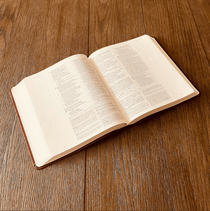 Personalized Family Bible, Custom ESV Family Tree Study Bible, Engraved Bible, Wedding Bible, Christian Gifts, Family Bible for Wedding - Religious Books - Aylev