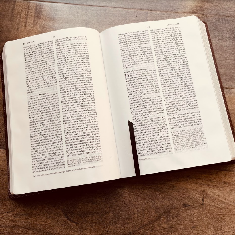 Personalized ESV Bible: Create Your Own Custom Engraved Design with a Designer, Wide-Margin Reference Red Letter English Standard Holy Bible - Aylev