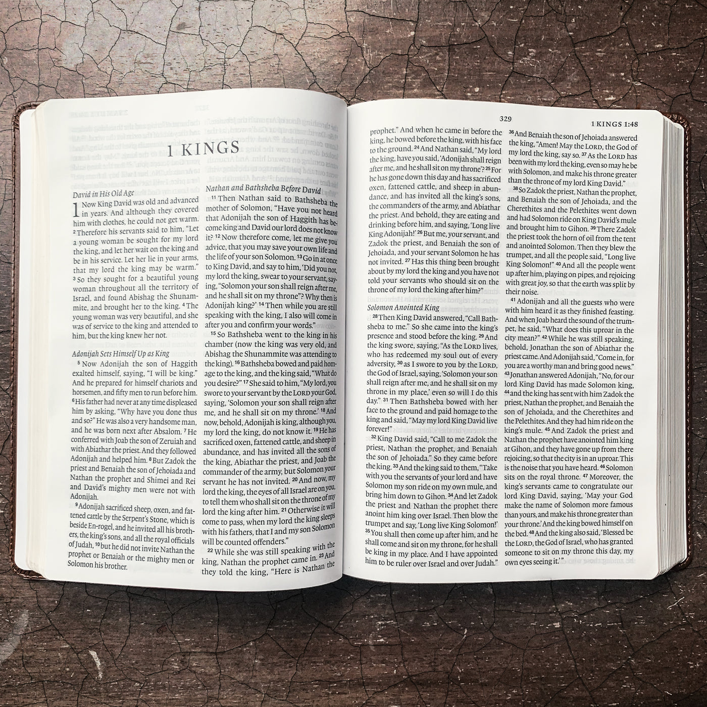 Personalized ESV Bible | Large Print Holy Bible - Starkenburg Company