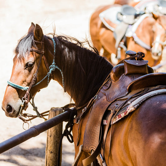 Horse Saddle Bag - Cell Phone Holder - Starkenburg Company